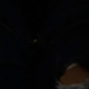 Meet your Posher, Destiny